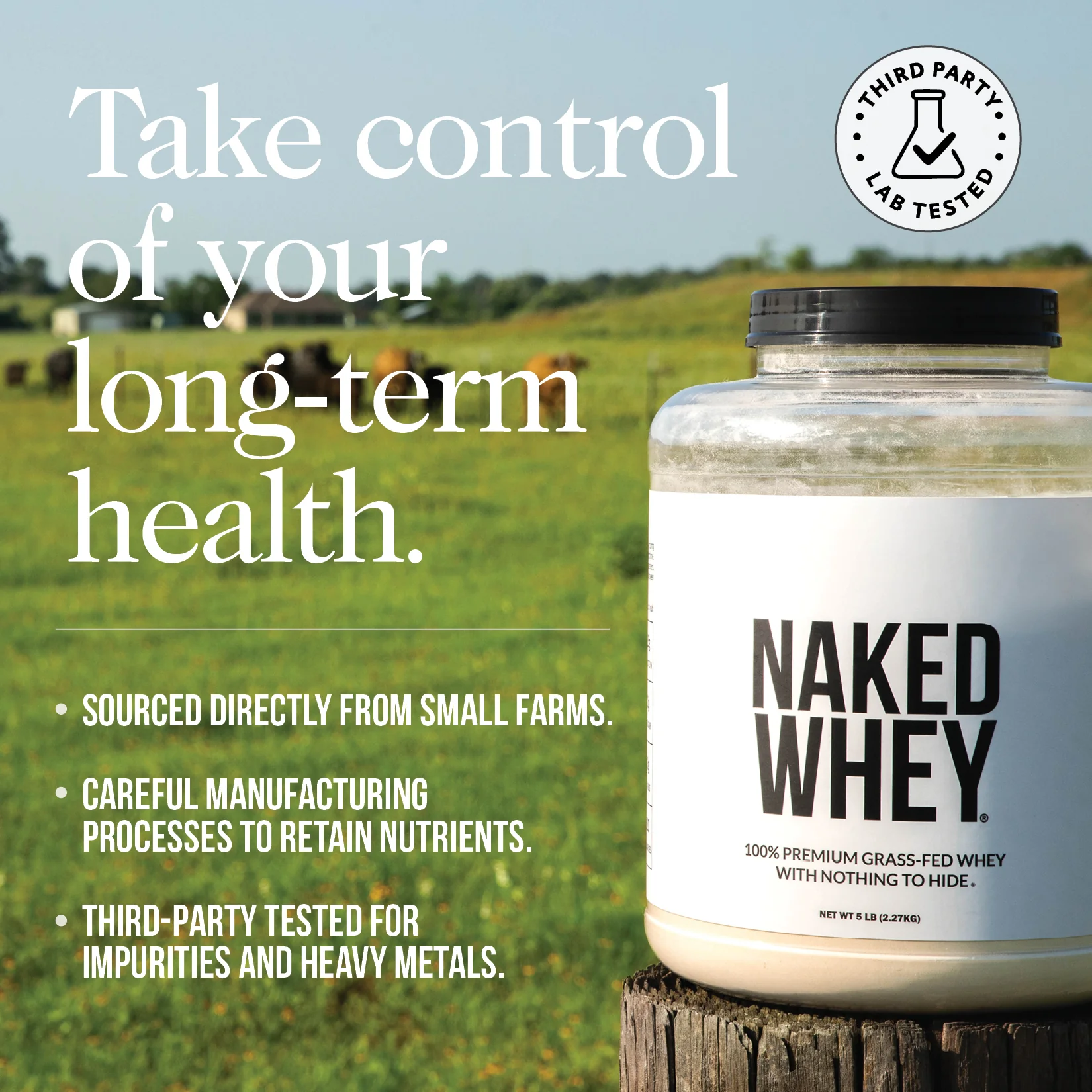 Chocolate Whey Protein Powder 1lb | Naked Chocolate Whey - 1LB - Image 7