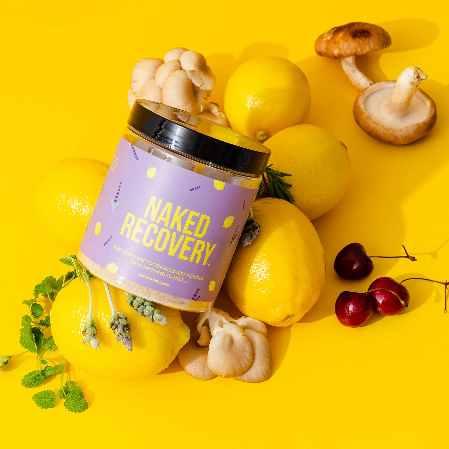 Recovery Mushroom Supplement | Naked Recovery - Image 6